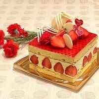 <img class='new_mark_img1' src='https://img.shop-pro.jp/img/new/icons14.gif' style='border:none;display:inline;margin:0px;padding:0px;width:auto;' />Ź֥ե쥸ޥޥ