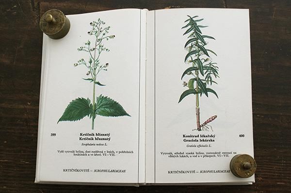 植物図鑑 Nase Kvetiny 2 チェコ チャルカお買いものサイト Charkha Shopping Site 植物図鑑 Nase Kvetiny 2 チェコ チャルカお買いものサイト Charkha Shopping Site