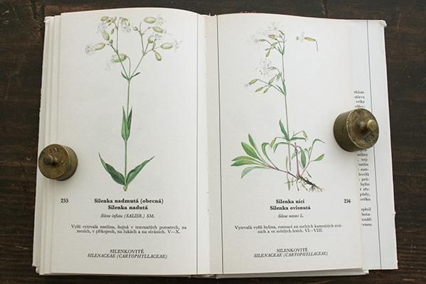 植物図鑑 Nase Kvetiny 1 チェコ チャルカお買いものサイト 植物図鑑 Nase Kvetiny 1 チェコ チャルカお買いものサイト