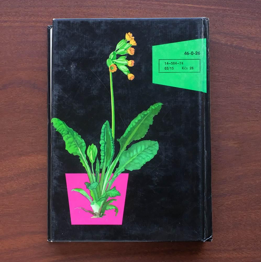 Atlas rostlin 植物図鑑 チェコ 植物図鑑 ボタニカルアート 植物画集 ヴィンテージ Atlas