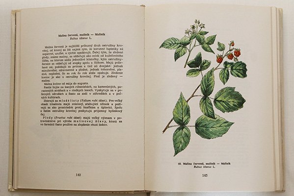 チェコの植物図鑑 Atlas Liecivych Rastlin チャルカお買いものサイト