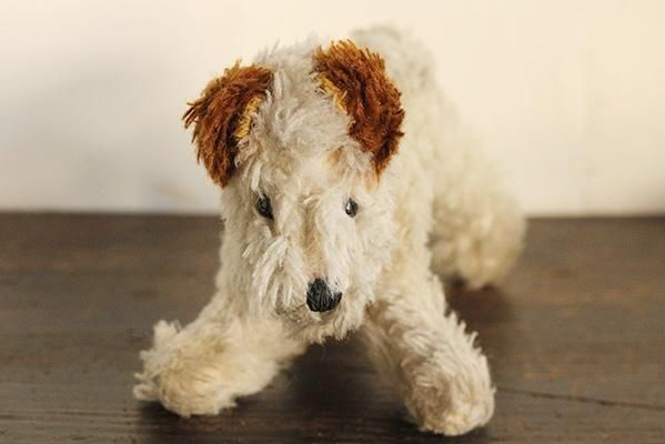 茶色耳のピーナッツ犬 ハンガリー チャルカお買いものサイト