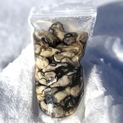 ޸л भ500g