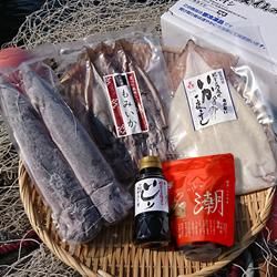 ڤॹᥤ ԤåA