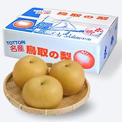 춿νʤŤ ֽ 2L 5kg12̡
