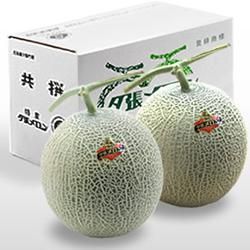 ̵ͼĥ ý 1.6kg2̡ʲȢ
