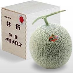 ̵ͼĥ ý 1.3kg1̡Ȣ