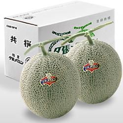 ̵ͼĥ  1.6kg2̡ʲȢ