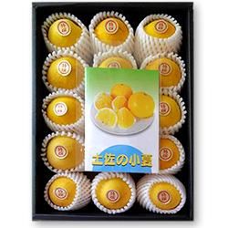 ̵ͭǰƤں £2kg