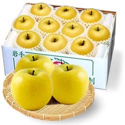 ιɻ ʥΥ LL 5kg