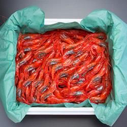 ϻڥ1kg80
