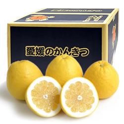 ɲ绺մ £ 8kg