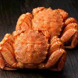 ڥǽòۥۡĥ޹觤ӥˡʷ 550g2
