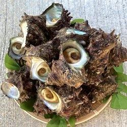 ϻŷ襵1kg