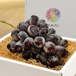 ڥϥݡۻūỺ֥å㥤ޥåȡٻΤε 1˼750g