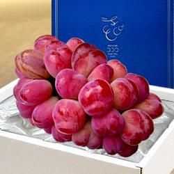 ڥϥݡۻūỺ Хåȥ 1˼950g
