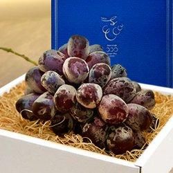  ϪϺݡۻūỺ ֥å㥤ޥåȡٻΤε1˼750g