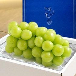 ϪϺݡۻūỺ 㥤ޥå 1˼750g