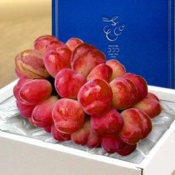 ϪϺݡۻūỺ Хåȥ1˼560g