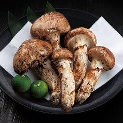 񻺾 230gˡڶȢ