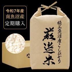  ڿͽ7ǯ˾»ҥ5kgơˡ12/ǯ