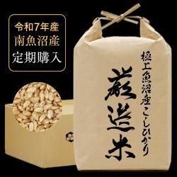  ڿͽ7ǯ˾»ҥ10kgʸơˡ12/ǯ