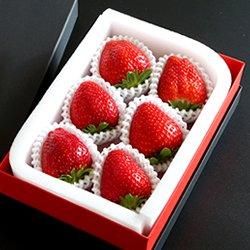 ι쥪ѥȥ 5L6γ եȢ