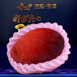100%ϥޥ󥴡ֽ6L1 Ȣ