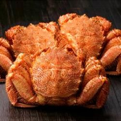 ڥǽòۥۡĥ޹觤ӥˡʷ 500g3