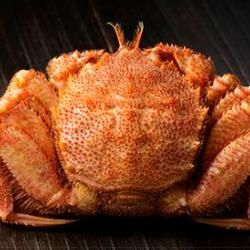 ۡĥ޹ӥˡˡڷ650g1
