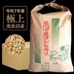 ڿͽ̵ۡ7ǯ»ҥ긷 30kgʸơ