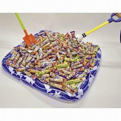 うまい棒すくいどり&つかみどりプレゼント(プール付) 商品 うまい棒すくいどり&つかみどりプレゼント(プール付) 商品