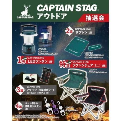 <img class='new_mark_img1' src='https://img.shop-pro.jp/img/new/icons11.gif' style='border:none;display:inline;margin:0px;padding:0px;width:auto;' />ãУԣɣΡӣԣǡͥ㡼񣱣