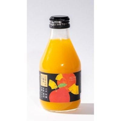 <img class='new_mark_img1' src='https://img.shop-pro.jp/img/new/icons11.gif' style='border:none;display:inline;margin:0px;padding:0px;width:auto;' />ۥե롼ġˤۤΤ̼¥塼ߥå塼ʰɲ̪ѥ