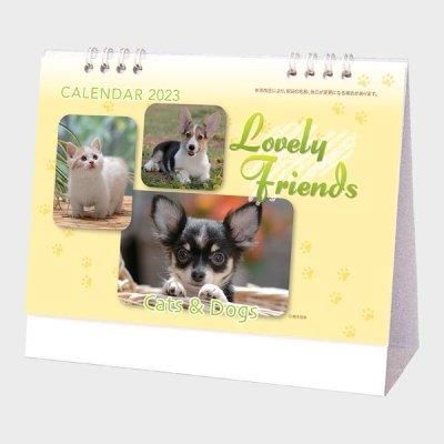 <img class='new_mark_img1' src='https://img.shop-pro.jp/img/new/icons11.gif' style='border:none;display:inline;margin:0px;padding:0px;width:auto;' />֥꡼ե󥺡ʸǭ