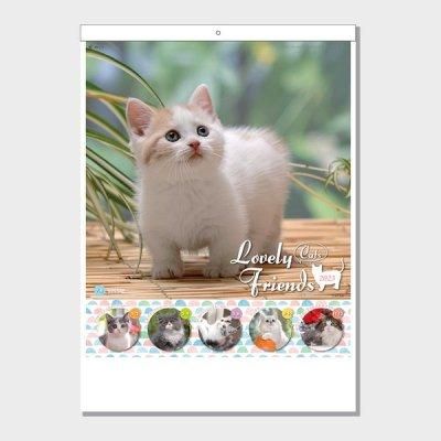 <img class='new_mark_img1' src='https://img.shop-pro.jp/img/new/icons11.gif' style='border:none;display:inline;margin:0px;padding:0px;width:auto;' />֥꡼ե󥺡ǭ