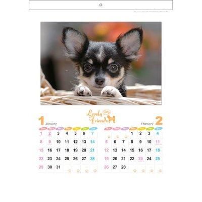 <img class='new_mark_img1' src='https://img.shop-pro.jp/img/new/icons11.gif' style='border:none;display:inline;margin:0px;padding:0px;width:auto;' />֥꡼ե󥺡ʸ