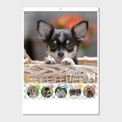 <img class='new_mark_img1' src='https://img.shop-pro.jp/img/new/icons11.gif' style='border:none;display:inline;margin:0px;padding:0px;width:auto;' />֥꡼ե󥺡ʸˡڣѹߡ