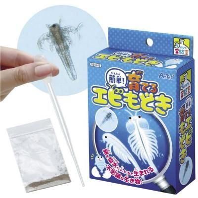 �Υ٥�ƥ������ʤǿ͵��Ρ֤ƤΤҤ�¸��������ĥѥå���