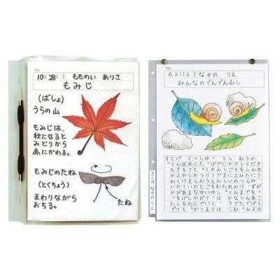 ノベルティ・粗品で人気の「 透明掲示ホルダー　Ａ４」