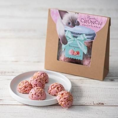 Υ٥ƥʤǿ͵Ρ֥٥ӡߥ㥪ˤ󤳥祳