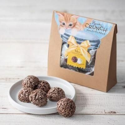 Υ٥ƥʤǿ͵Ρ֥٥ӡߥ㥪ˤ󤳥祳ߥ륯祳