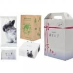 Υ٥ƥʤǿ͵Ρ ͥԥɡ֥եȣ¡ݣ