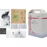 ノベルティ・粗品で人気の「 ネピア鼻セレブWIDE B−1」