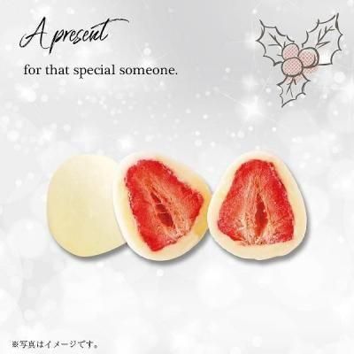 Υ٥ƥʤǿ͵Ρ ꡼£ϣءġ