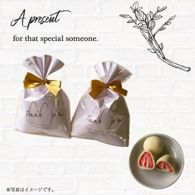 Υ٥ƥʤǿ͵Ρ ȥ٥꡼̣ϣãϡ