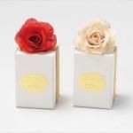 Υ٥ƥʤǿ͵Ρ 롼塦ɡʥ祳ˡġ