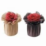 Υ٥ƥʤǿ͵Ρ 󥿡ϡȡġ