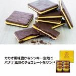 Υ٥ƥʤǿ͵Ρ 祳Хʥʥ󥰥ɥ㣱