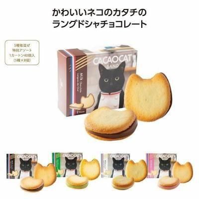 Υ٥ƥʤǿ͵Ρ åȥɣ異ȡ